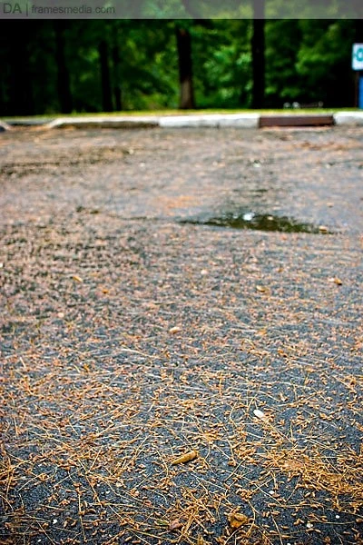 Rain