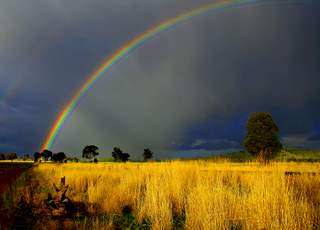 Rainbow Field