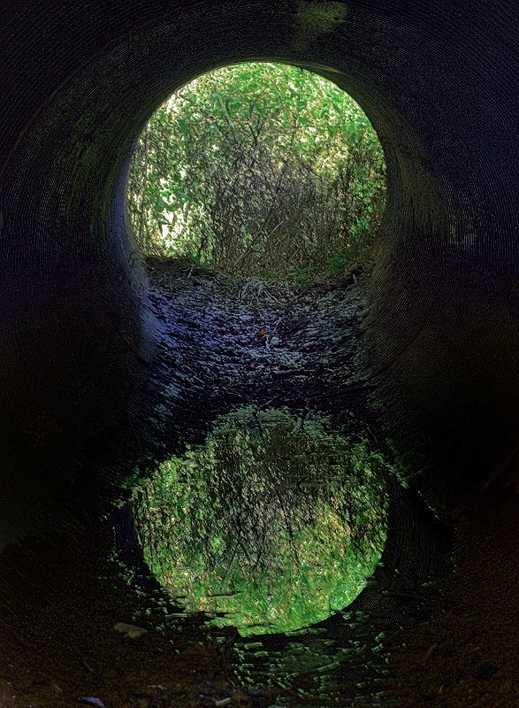 Refection in a storm pipe.