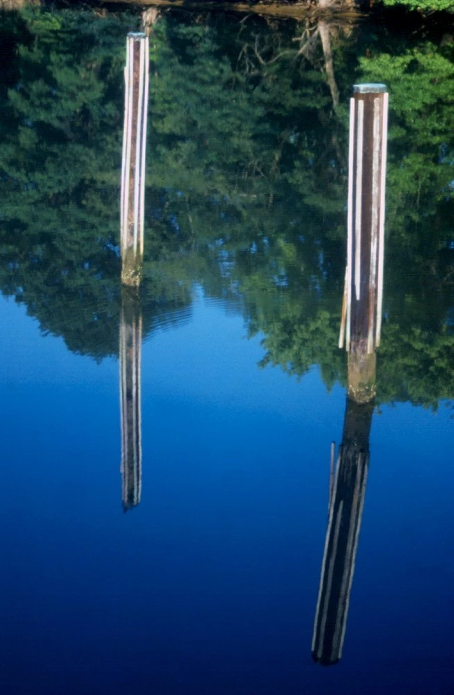Reflected Pilings, Carter's Creek, Va.