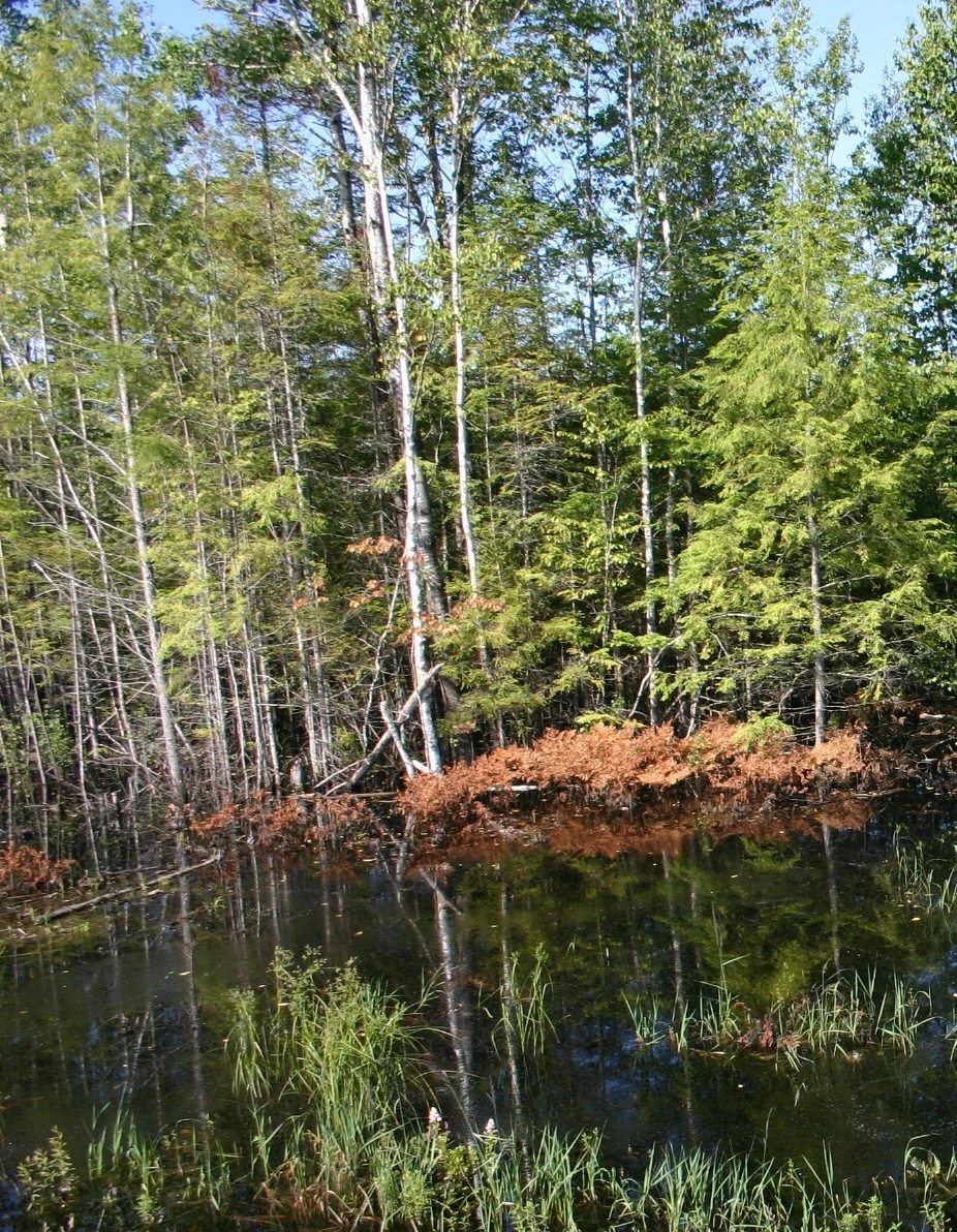 reflections_2