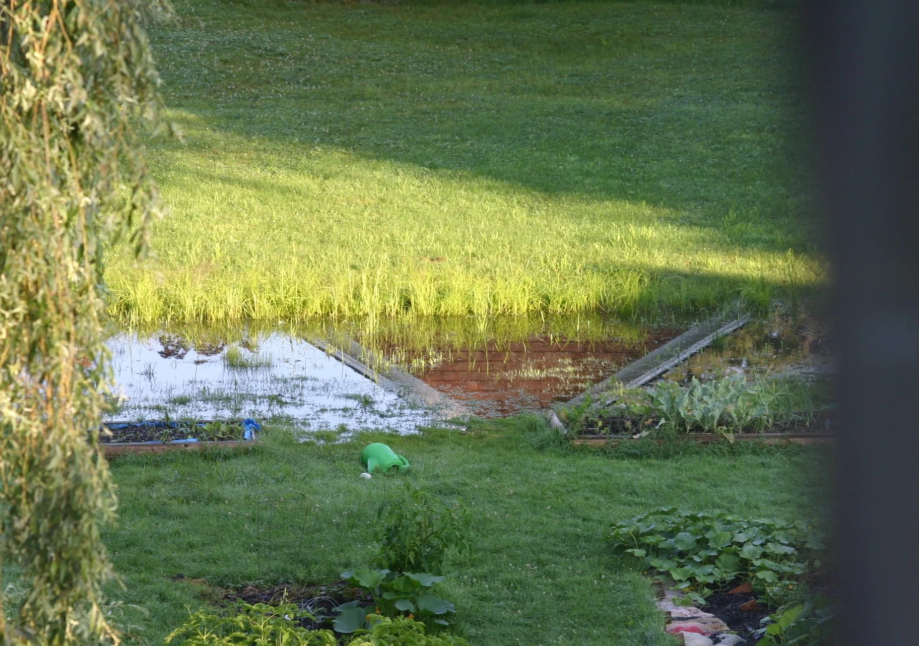 reflections_5