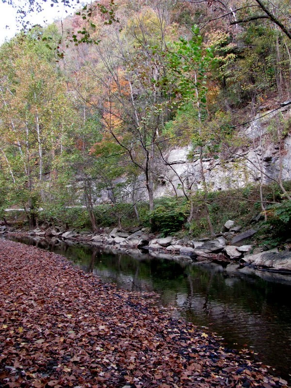 river fall colors