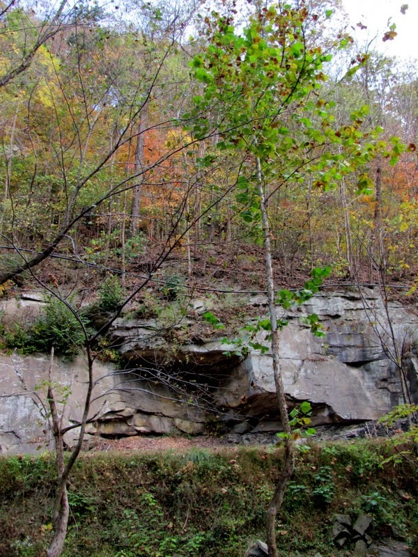 river fall colors