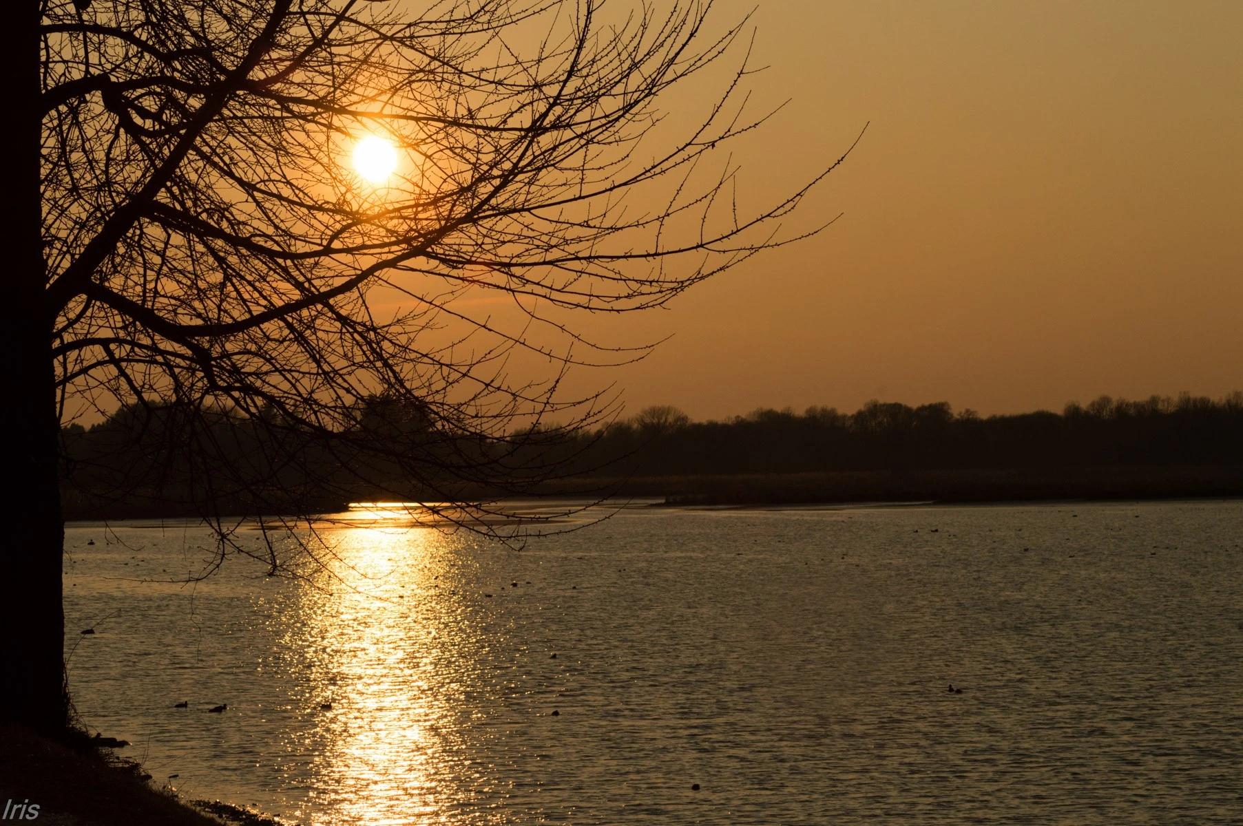 River Side
