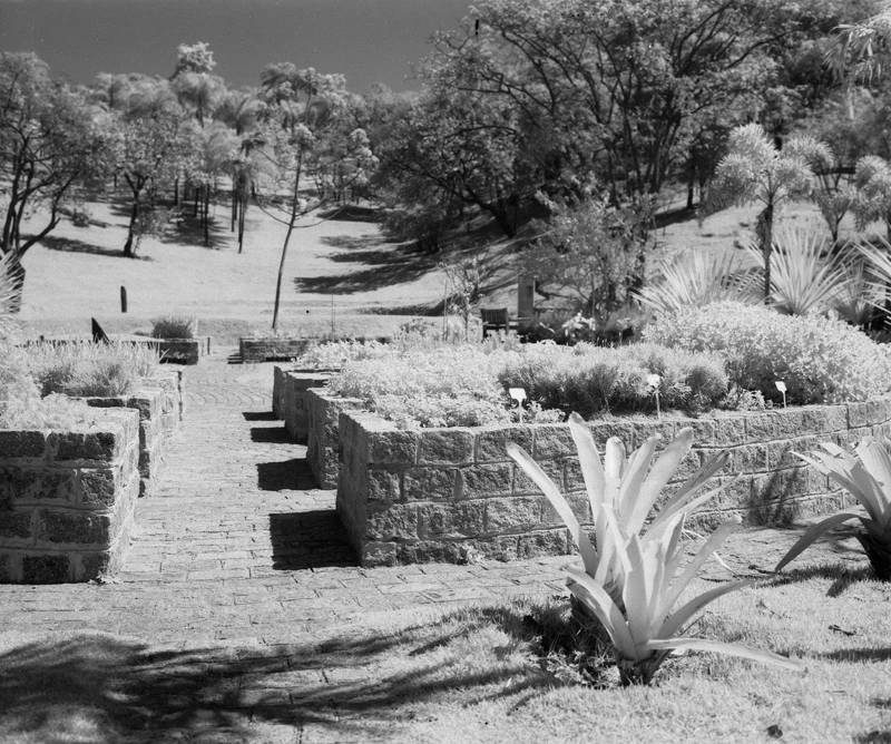 Rollei IR820 Experimental Roll