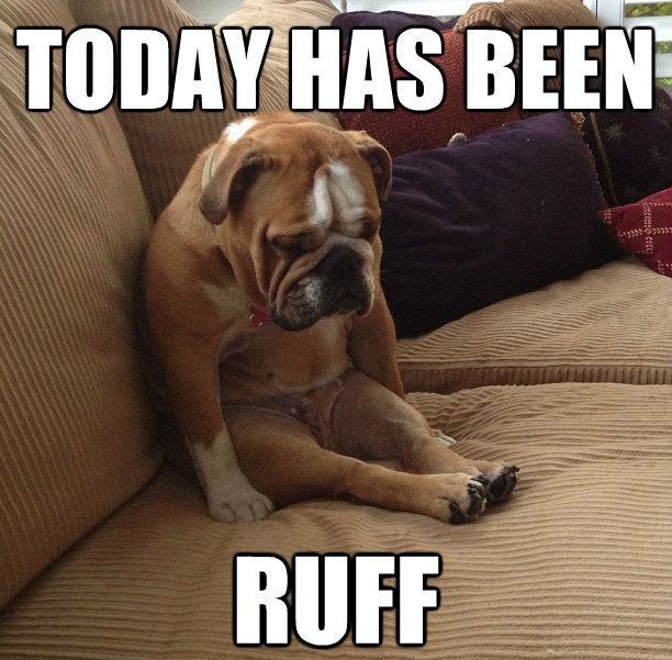 ruff day dog meme