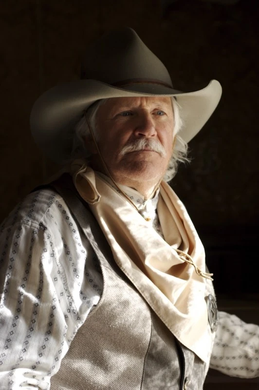 Santa Fe Cowboy