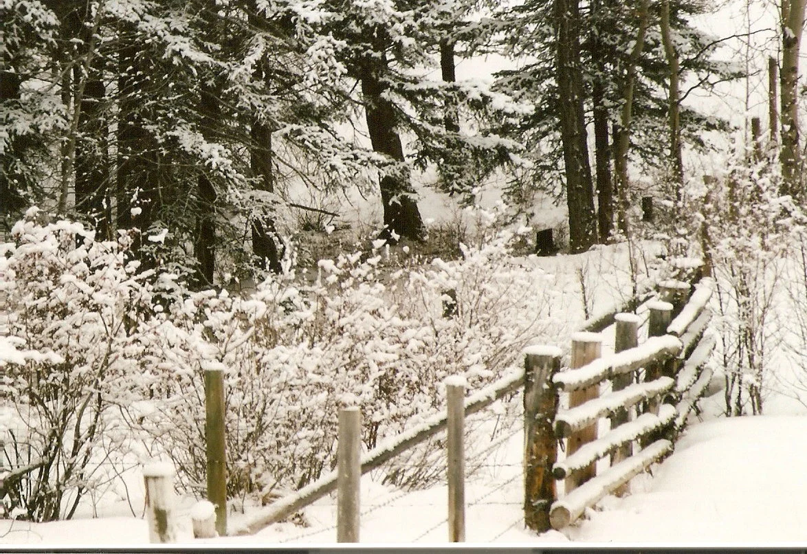 scan0056