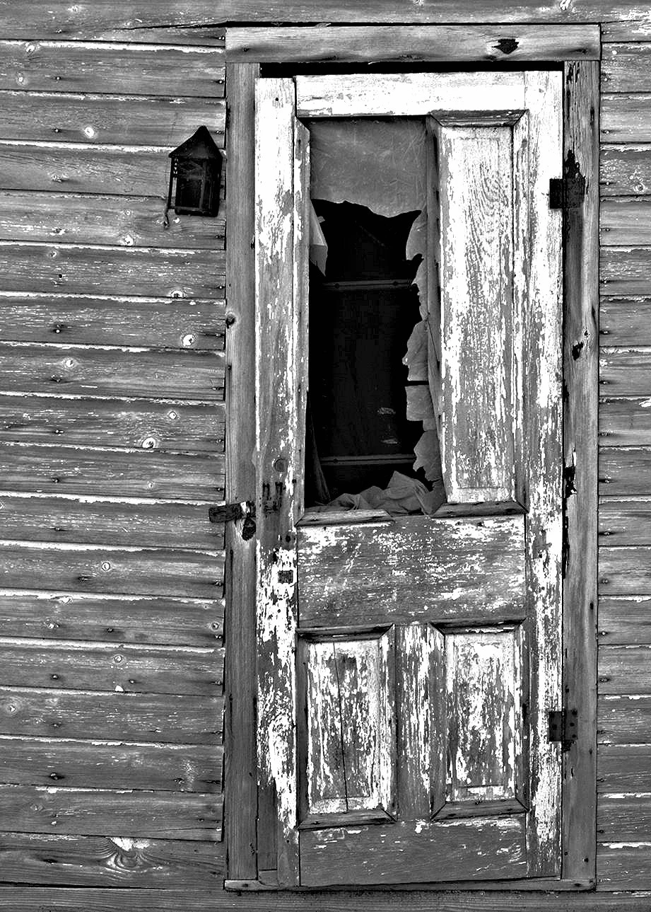Shed_Door