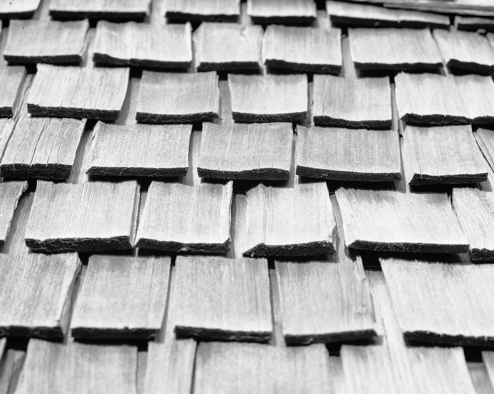 Shingles.webp