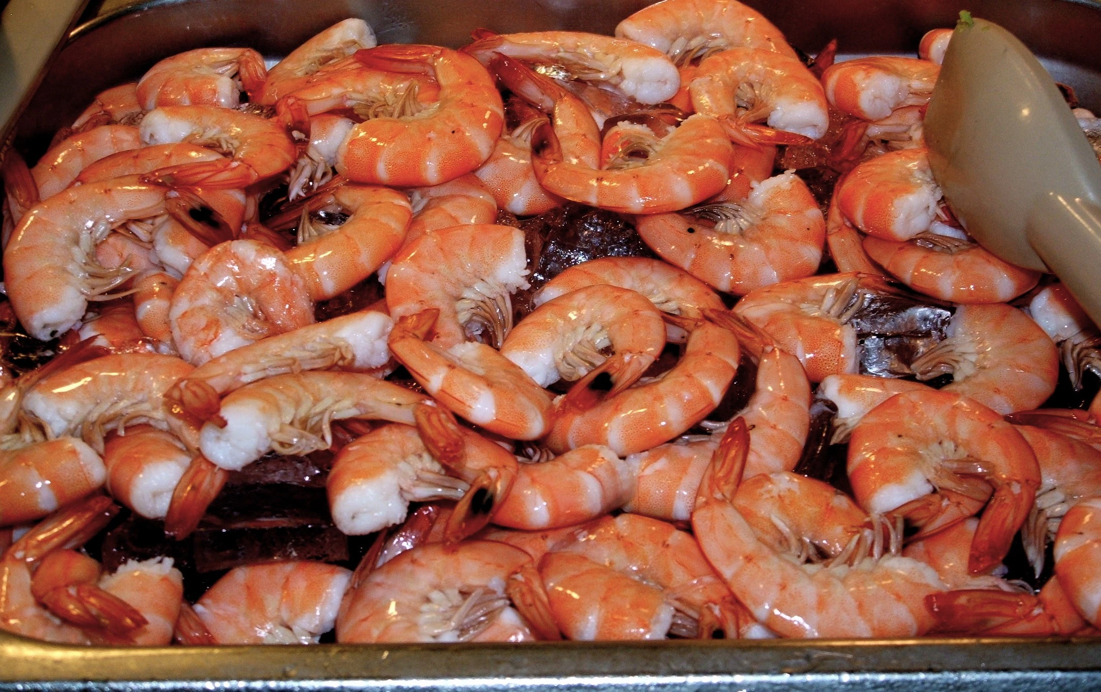 Shrimp On A Bed OF Ice