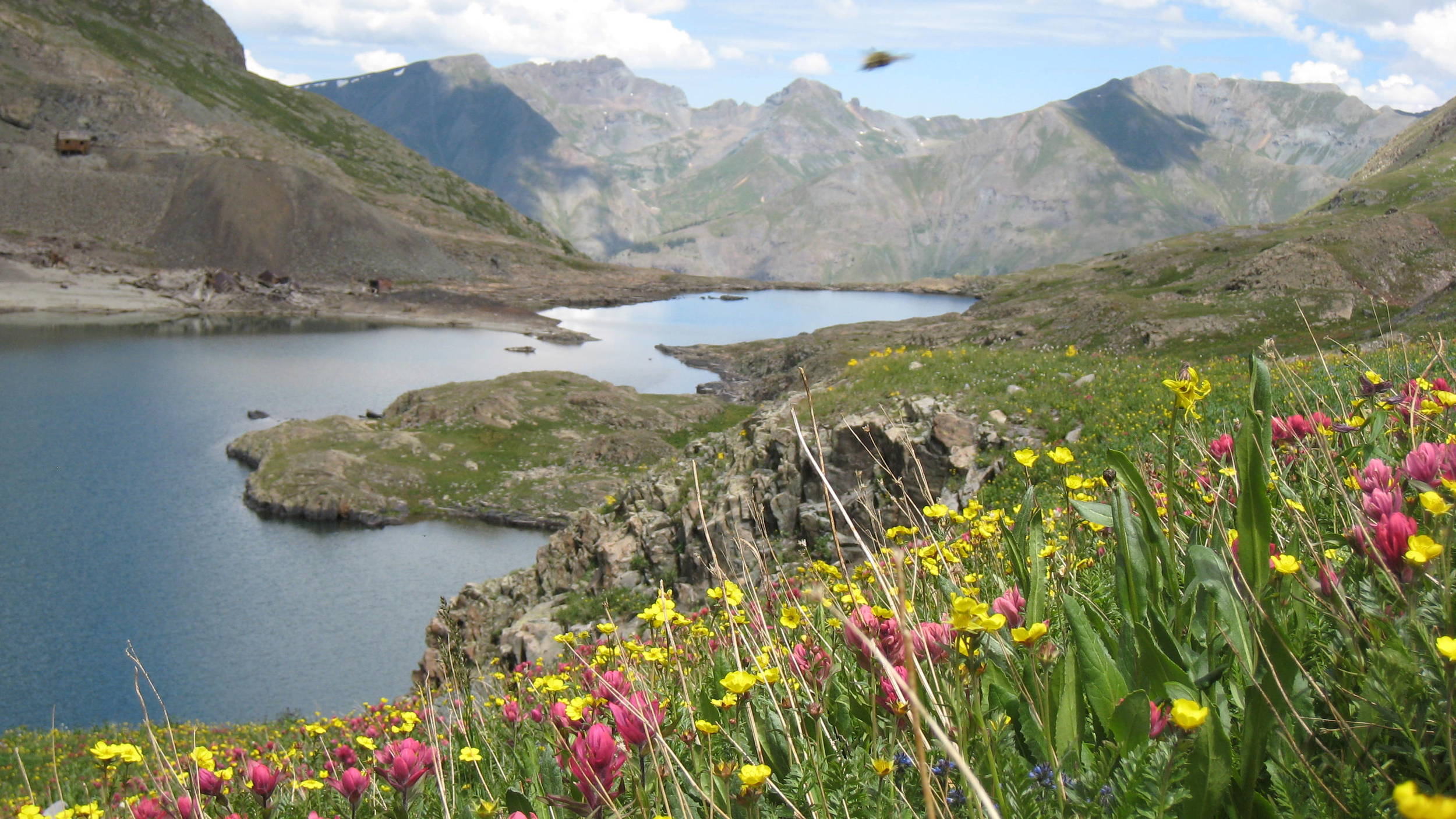 Silver Lake Basin, Colorado