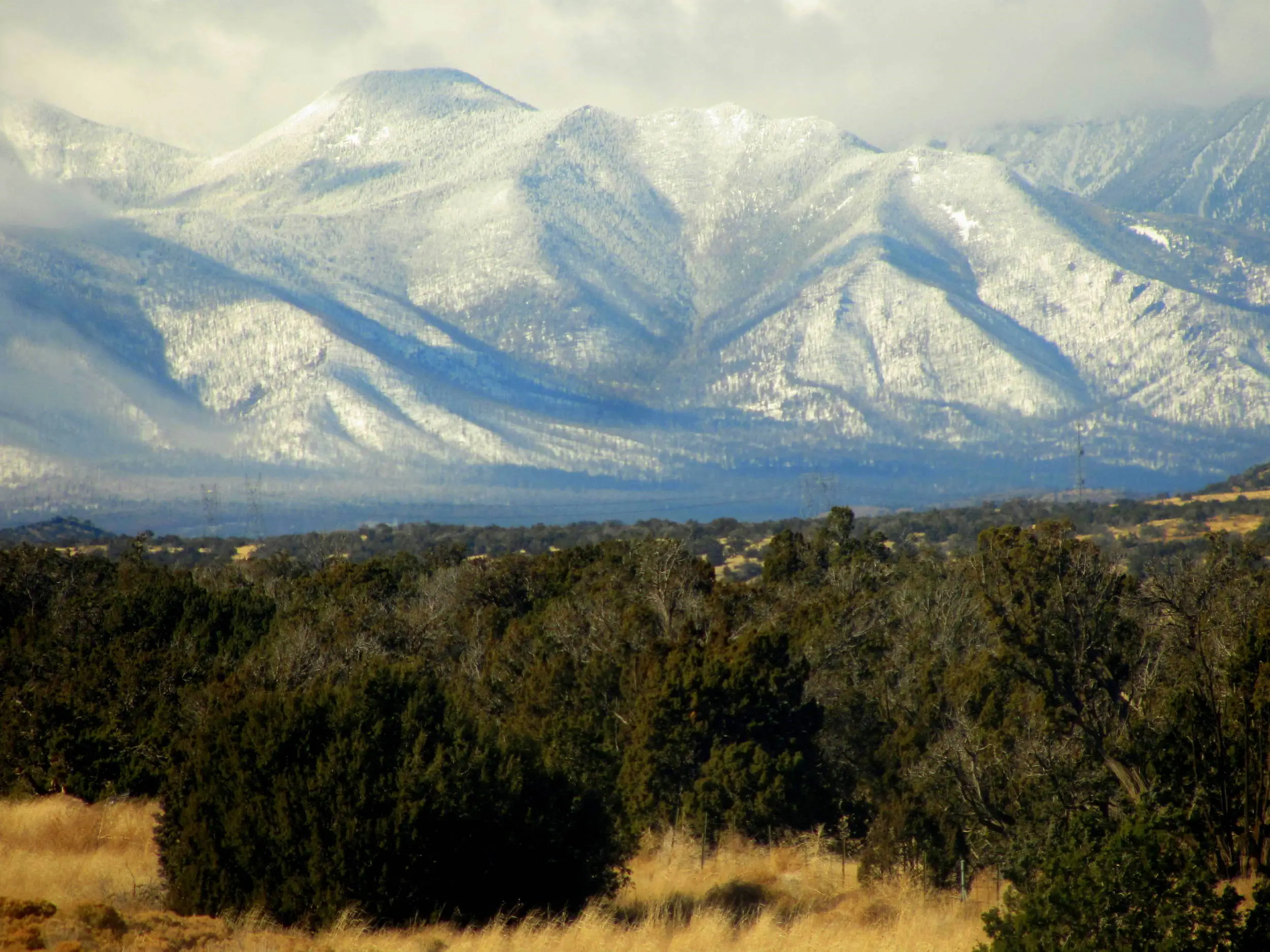 Snow in Flagstaff