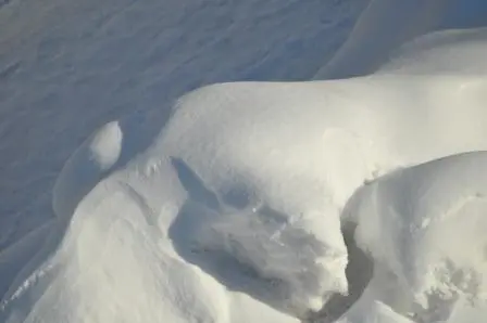 snow3
