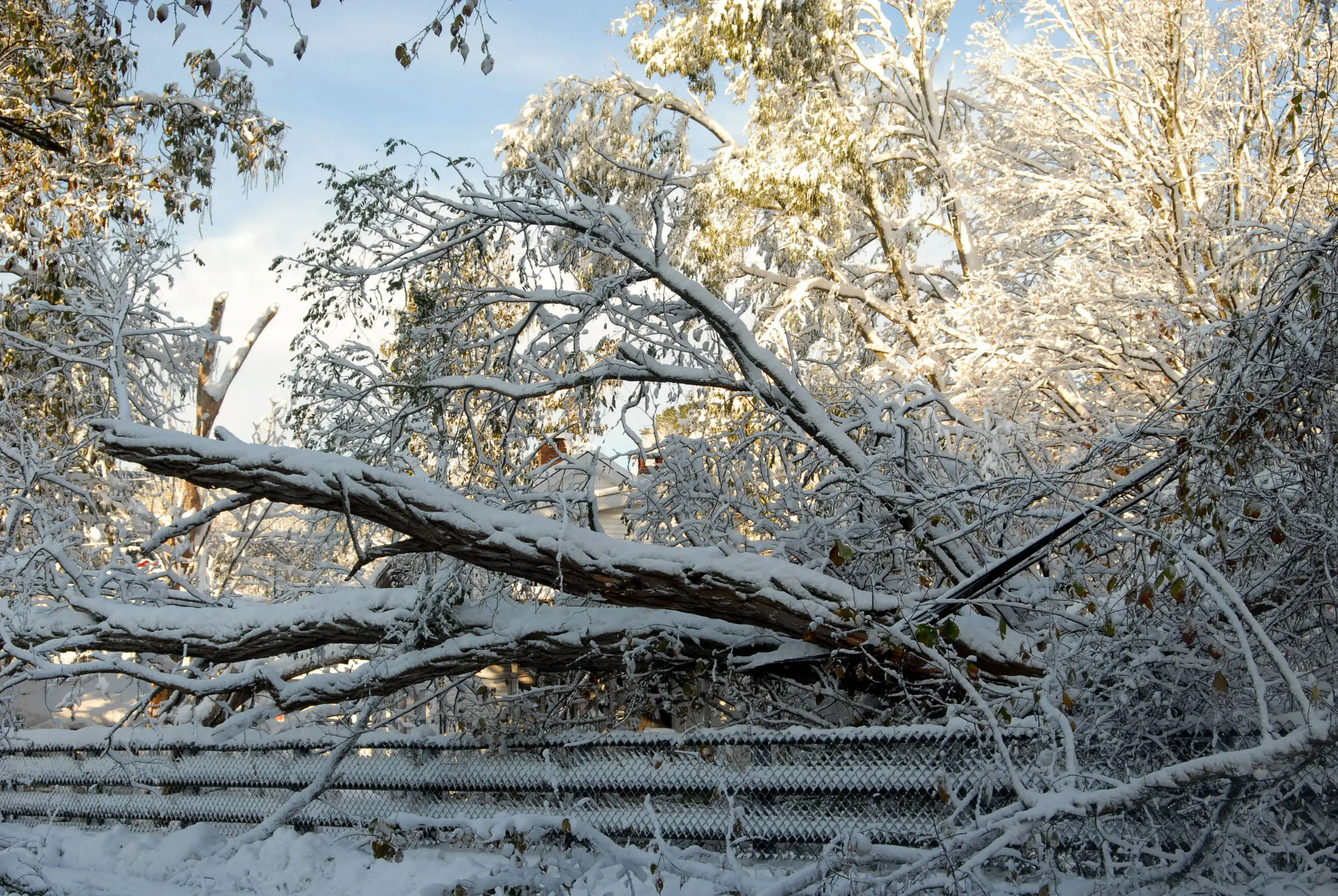 snow_storm_2011_020_edited-1