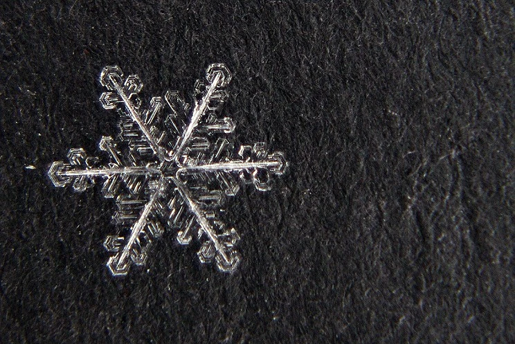 snowflakes