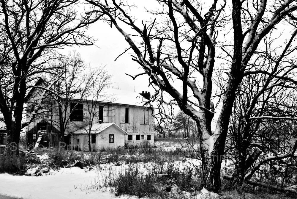 Snowy Barn