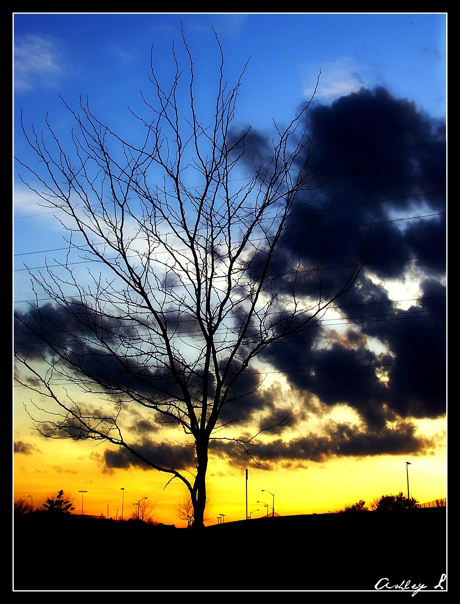 Spring Sunset