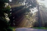 Spring_Grove_0011