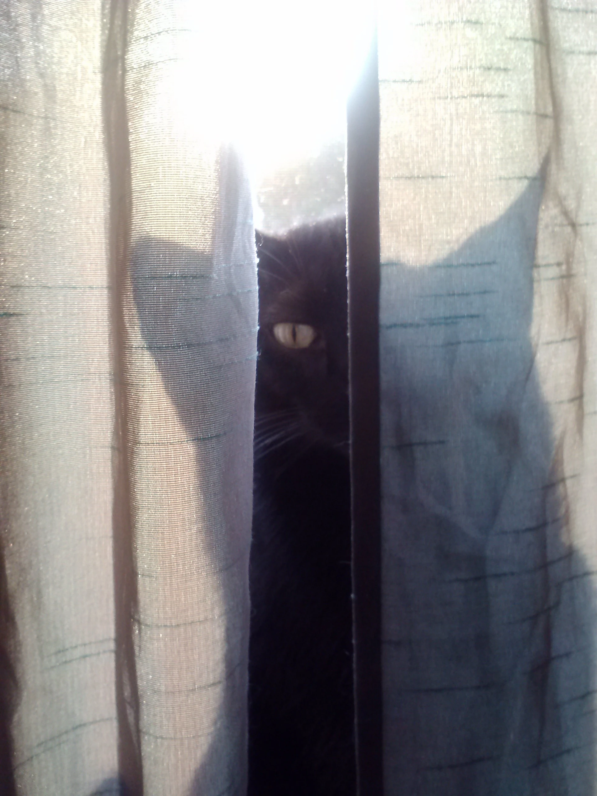 Spying Sam