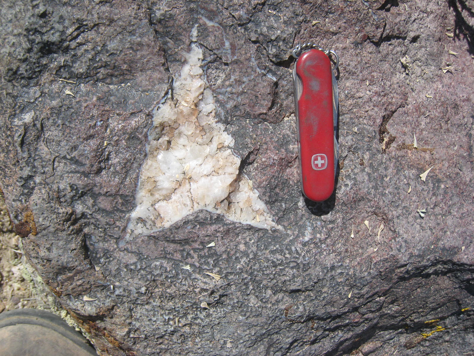 Star Trek rock found near Area 51, NV. ooooooo...