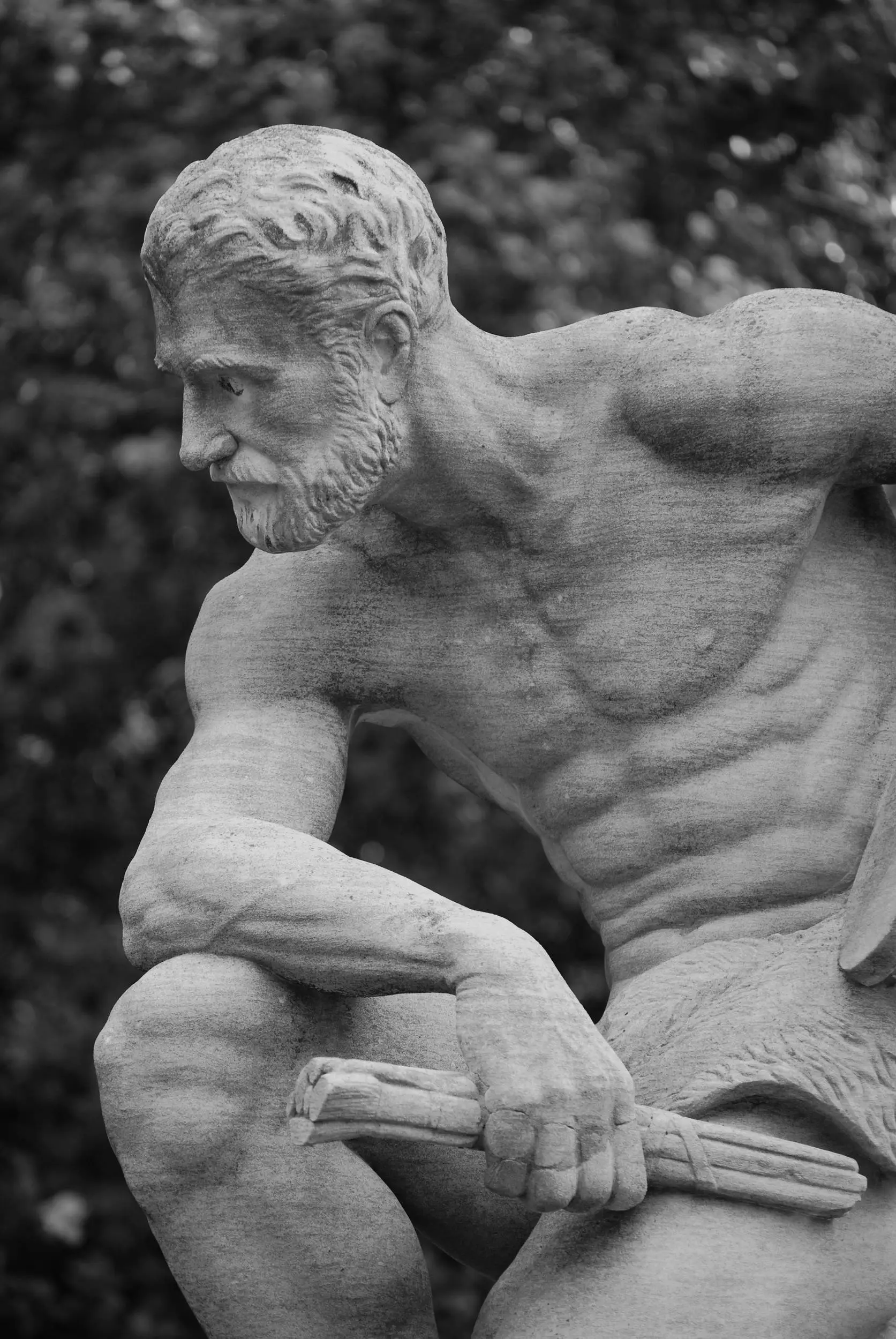 Staute