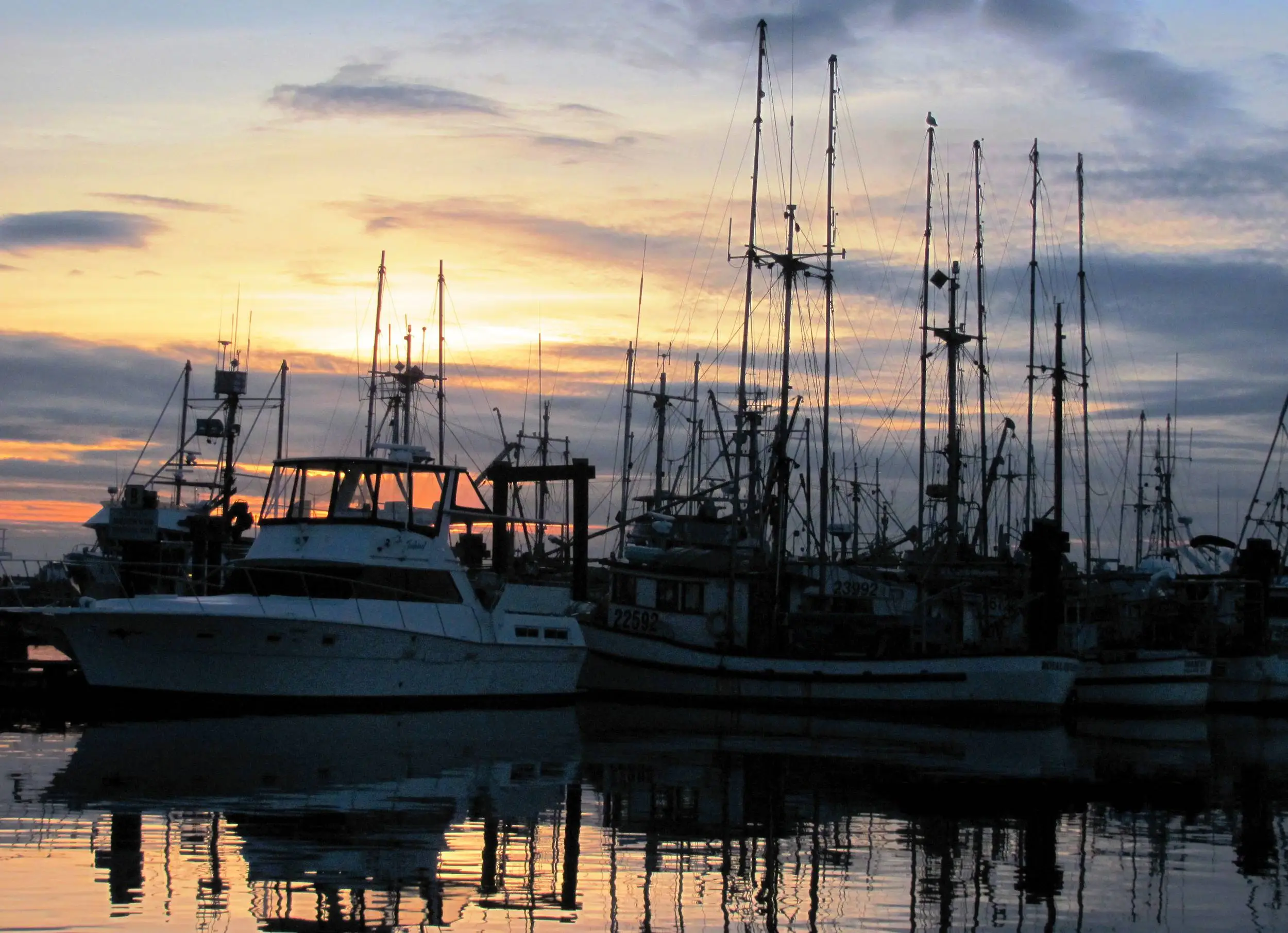 Steveston Fishermans Wharf