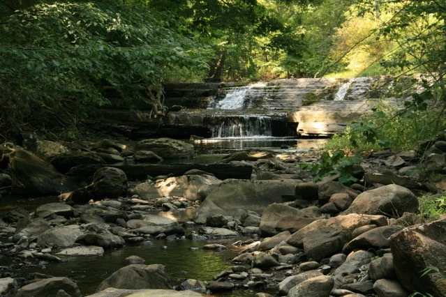 Stream with Falls