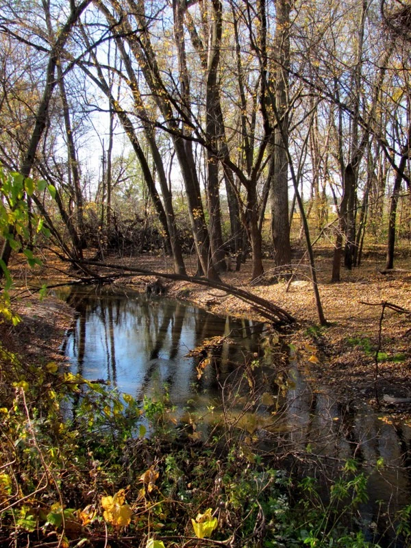 stream