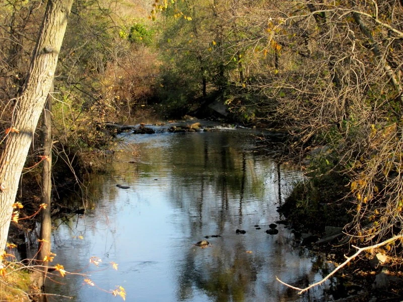 stream