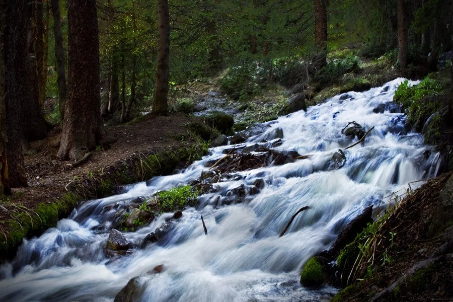 Stream