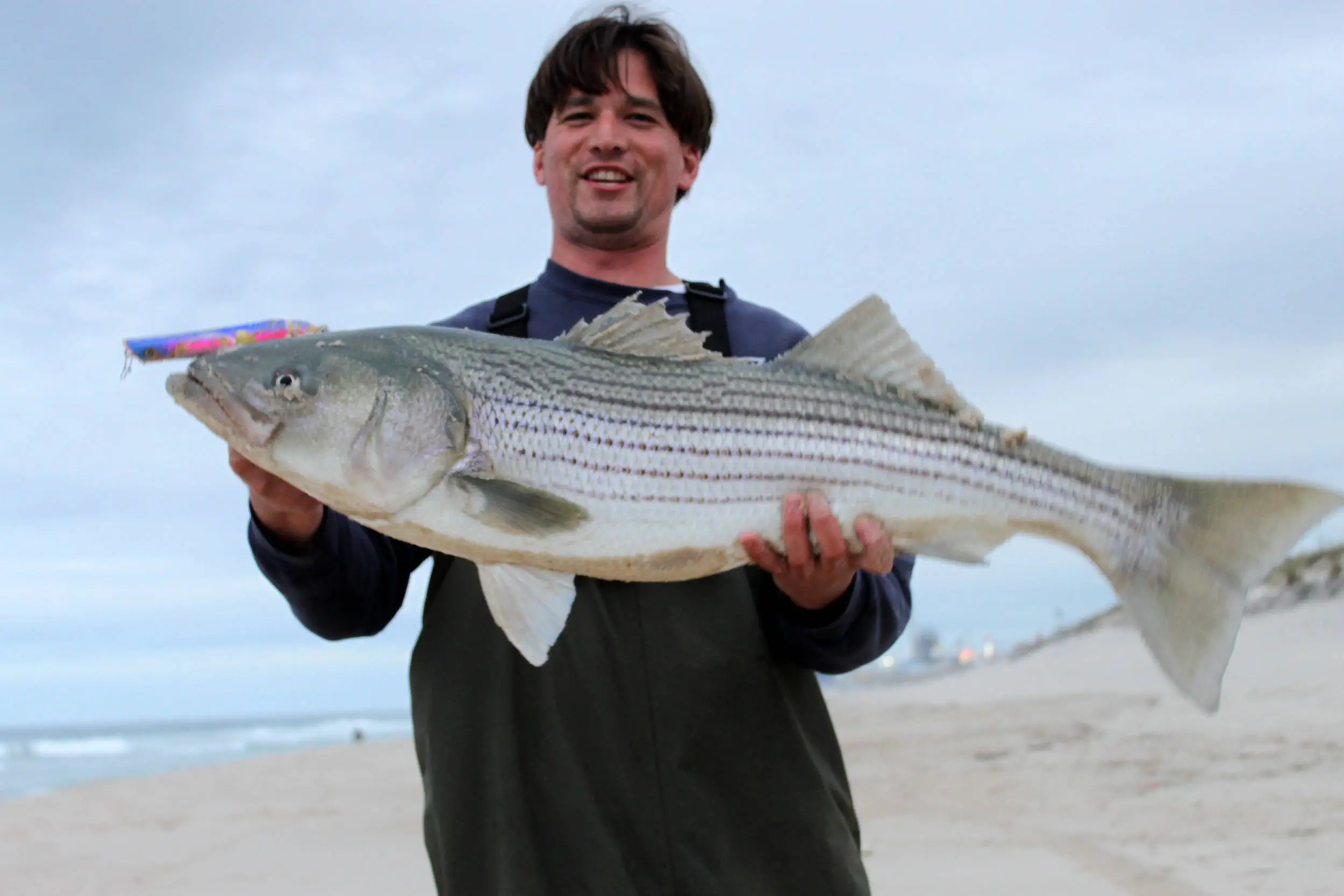 Striper