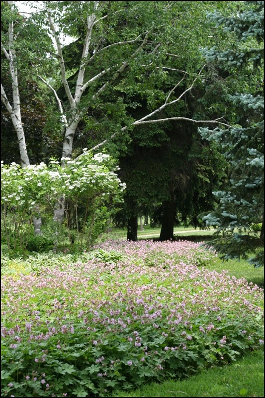 Stroll in Sunnydale Park