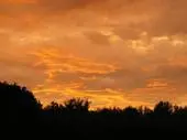 Summer Fire