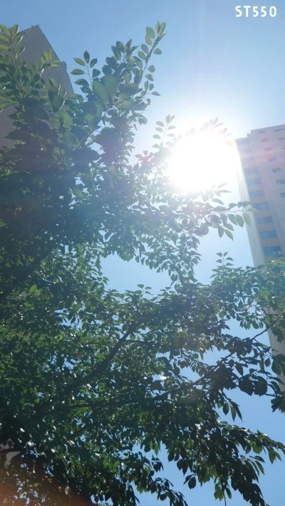 Summer