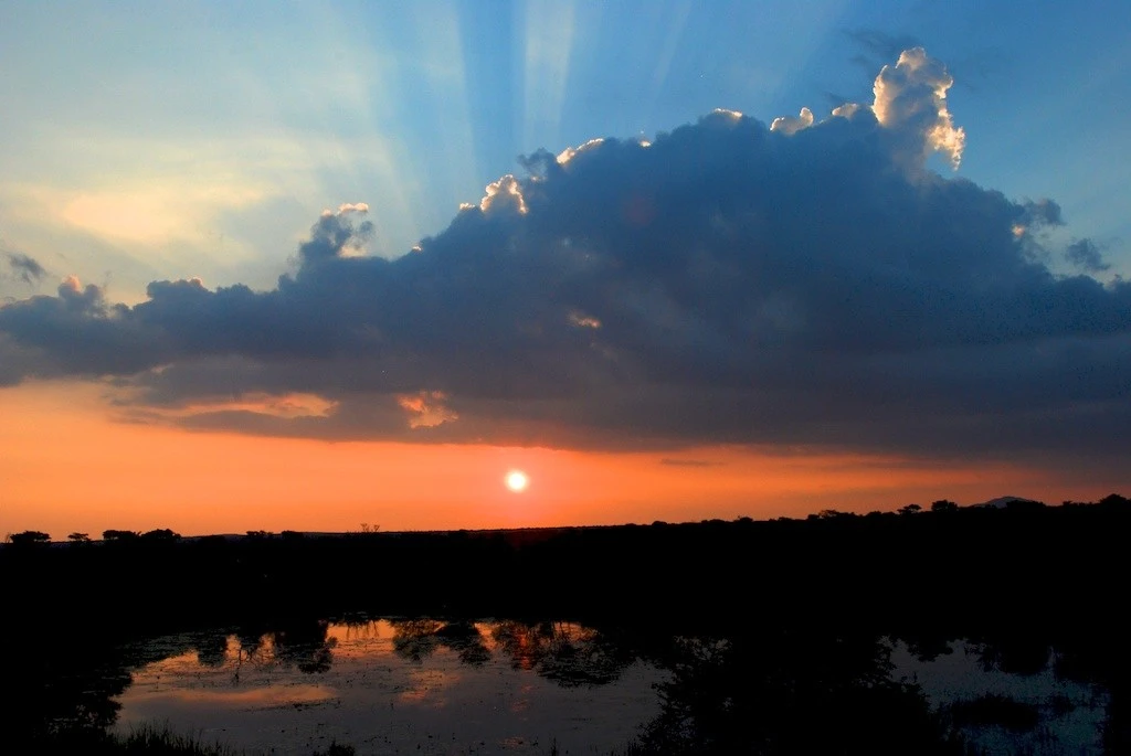 SUN SET IN THE BUSH