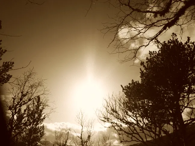 Sunbeams