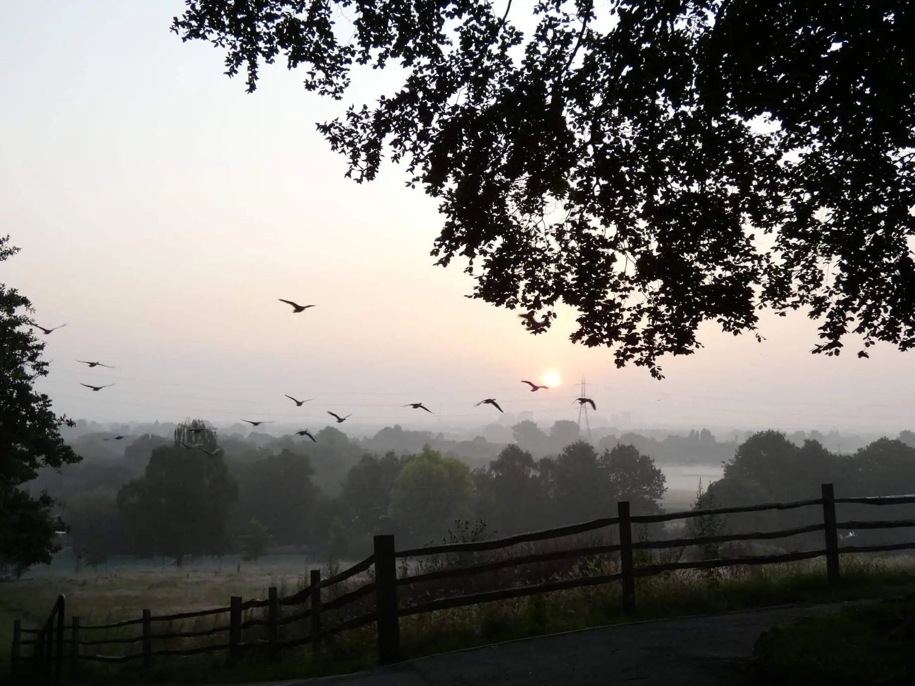 Sunrise 4. Springfield Park.