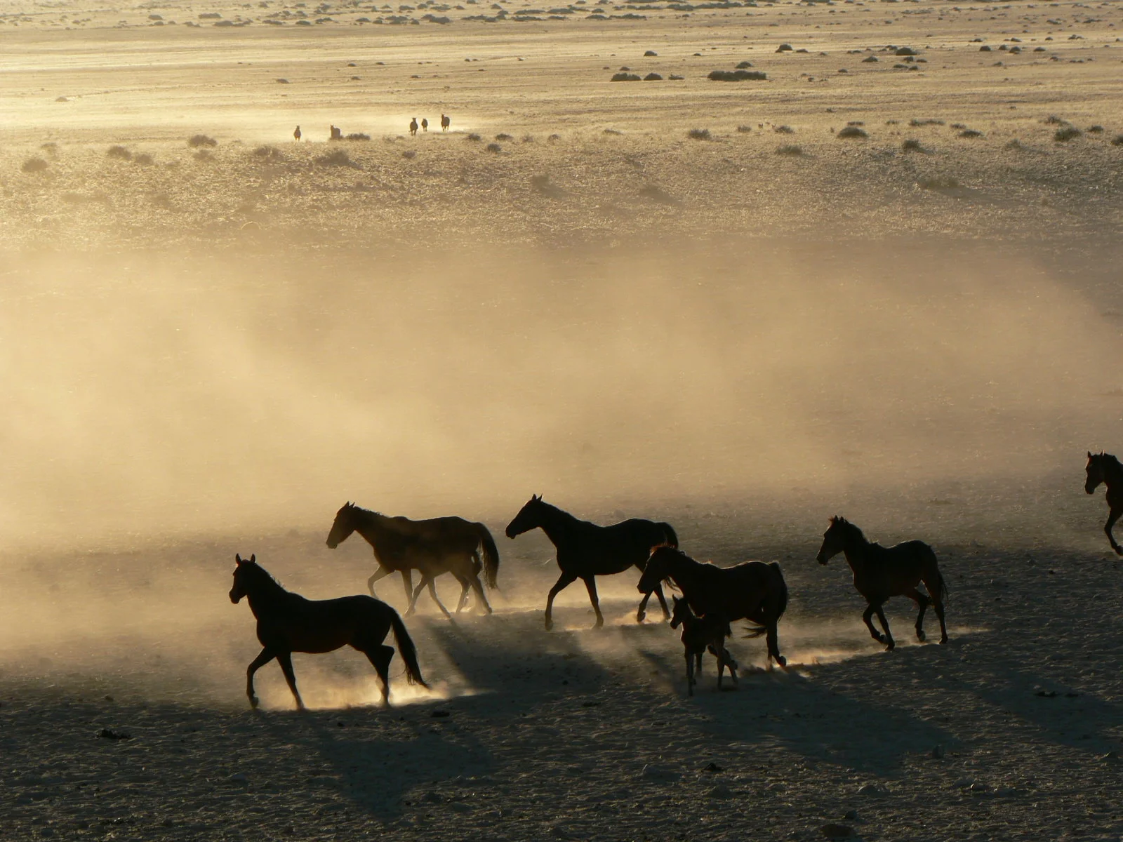 Sunrise at Garub