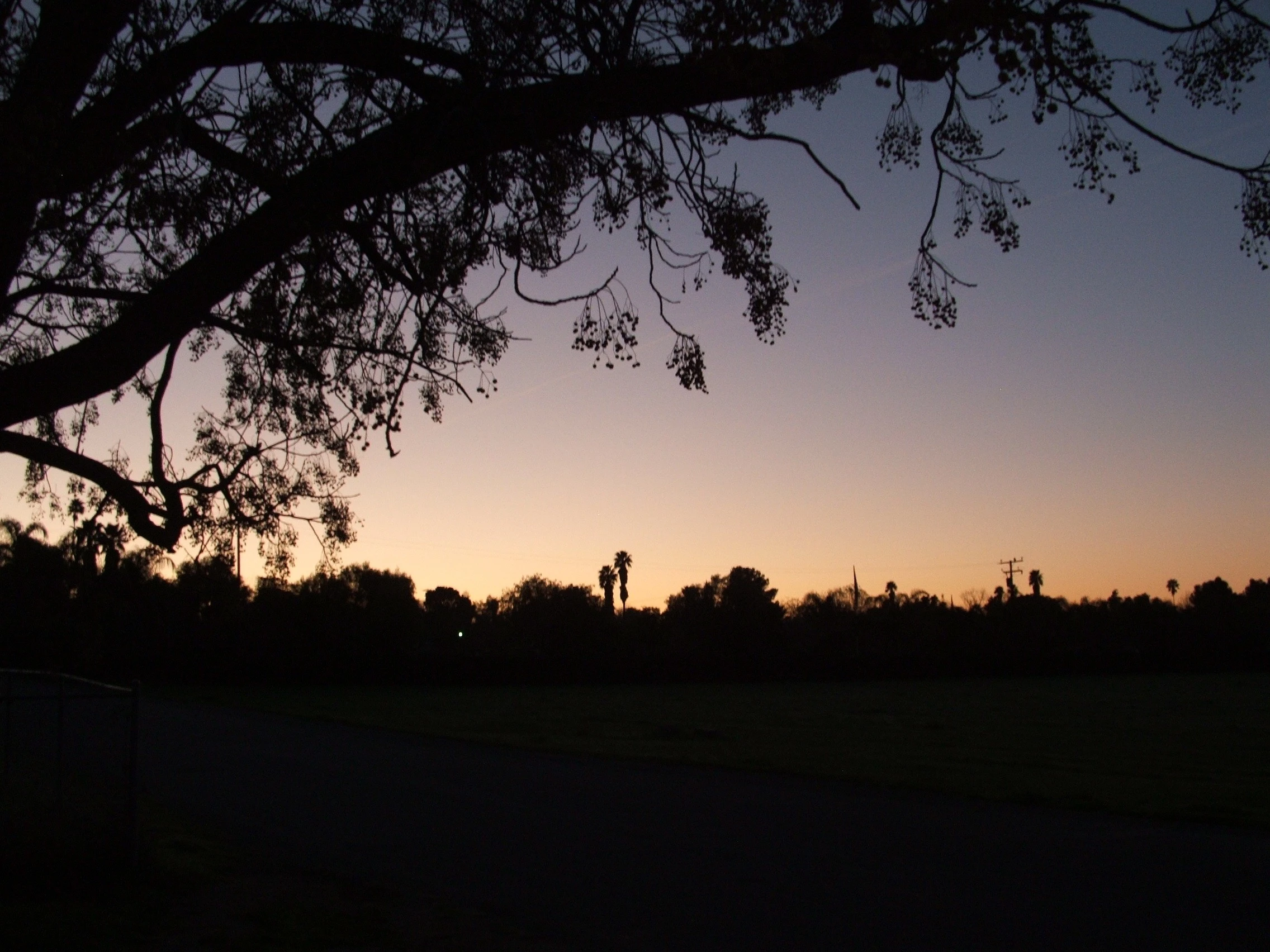 Sunrise at My Place