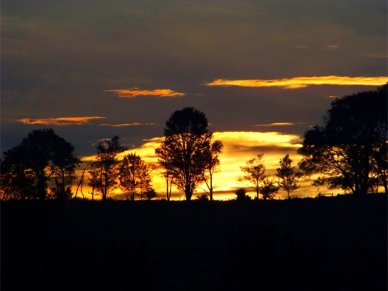 Sunrise