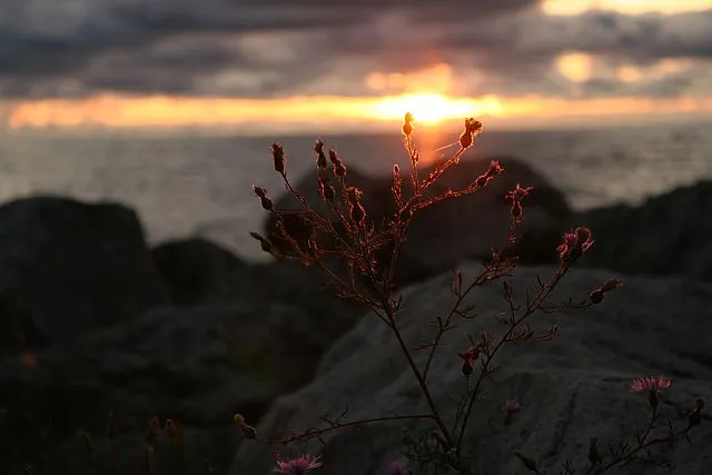 Sunset at the beach