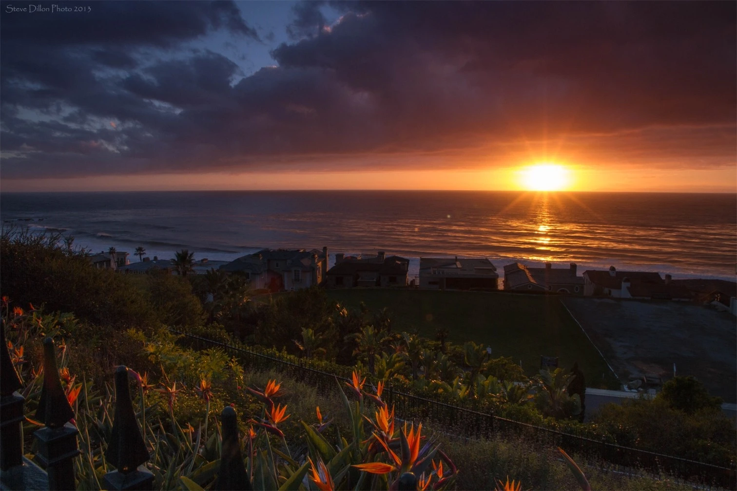 Sunset with Birds of Paradise