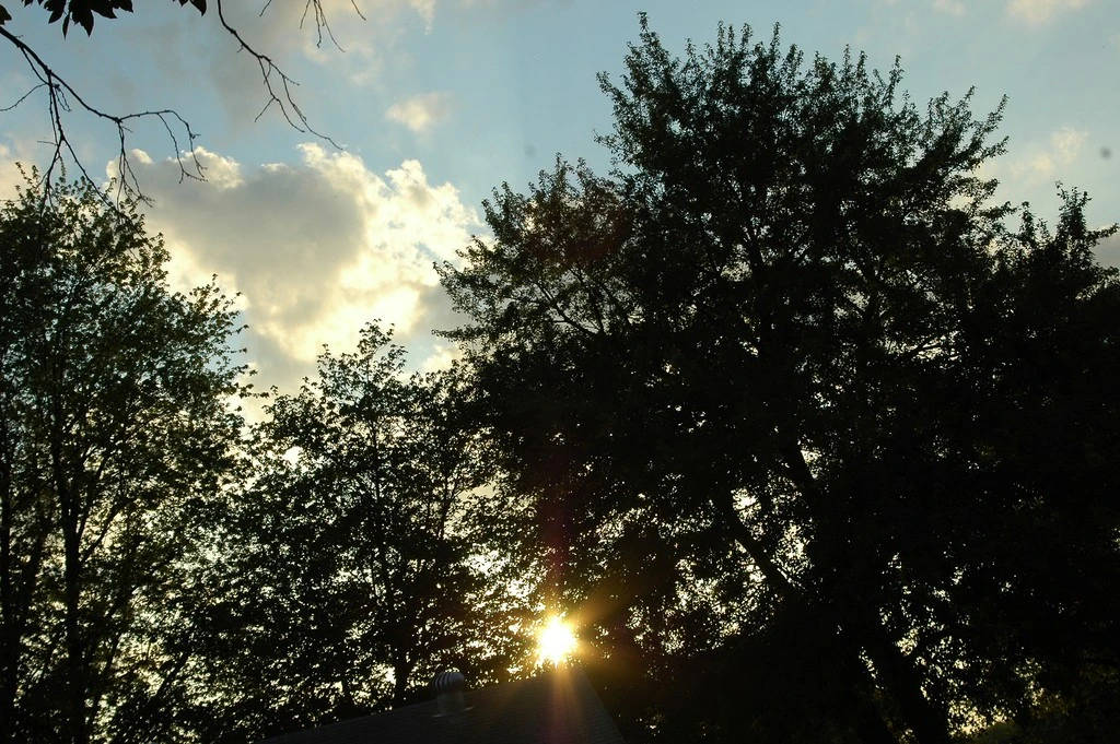 Sunset12
