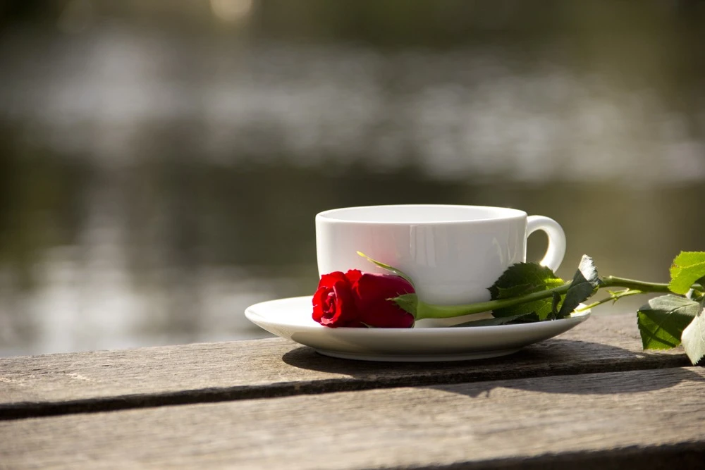 Table with Cup and Rose