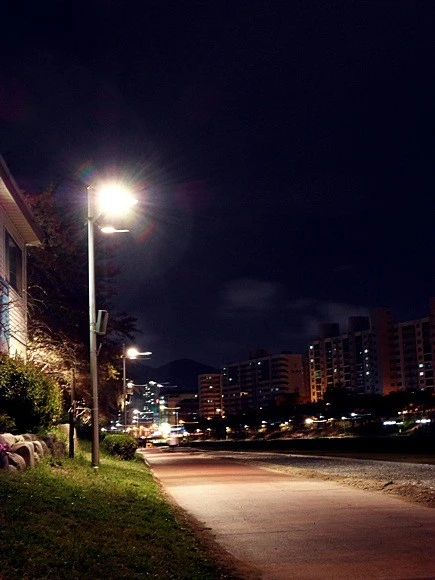 taking for walk