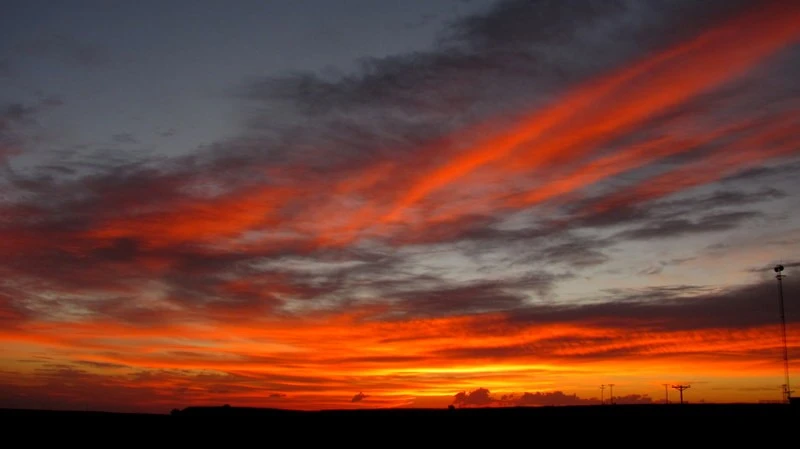Texas