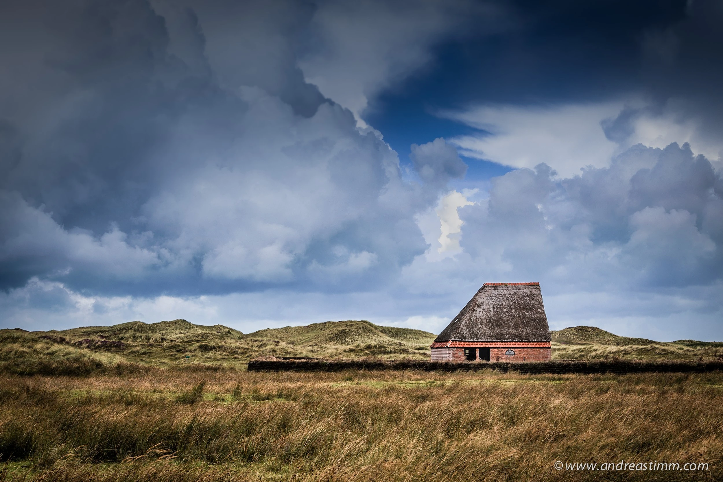 Texel Sheep Barn I