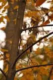th_DSC_0043